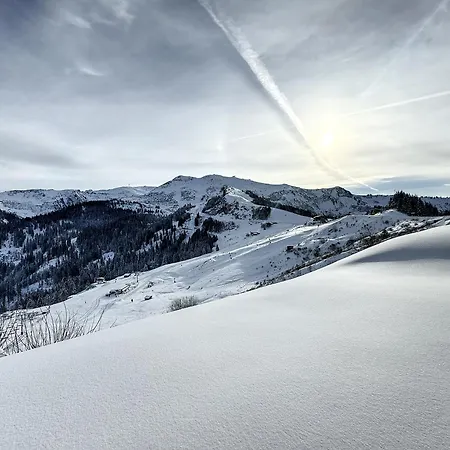 Ski1600 - Grandmassif Apartment